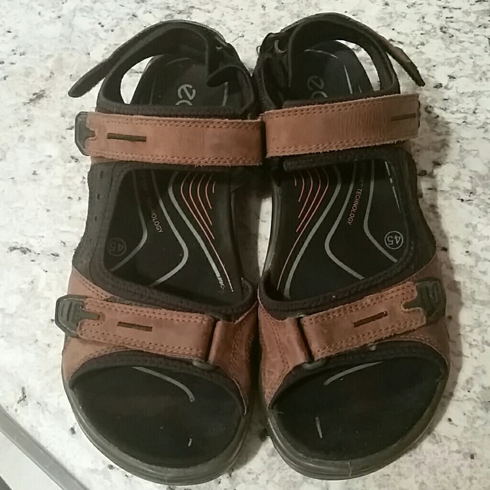 Men's Ecco Sandals